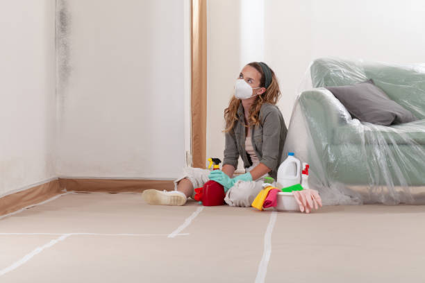 Reliable Mold Remediation contractor in San Antonio, FL by Cheap Mold Removal